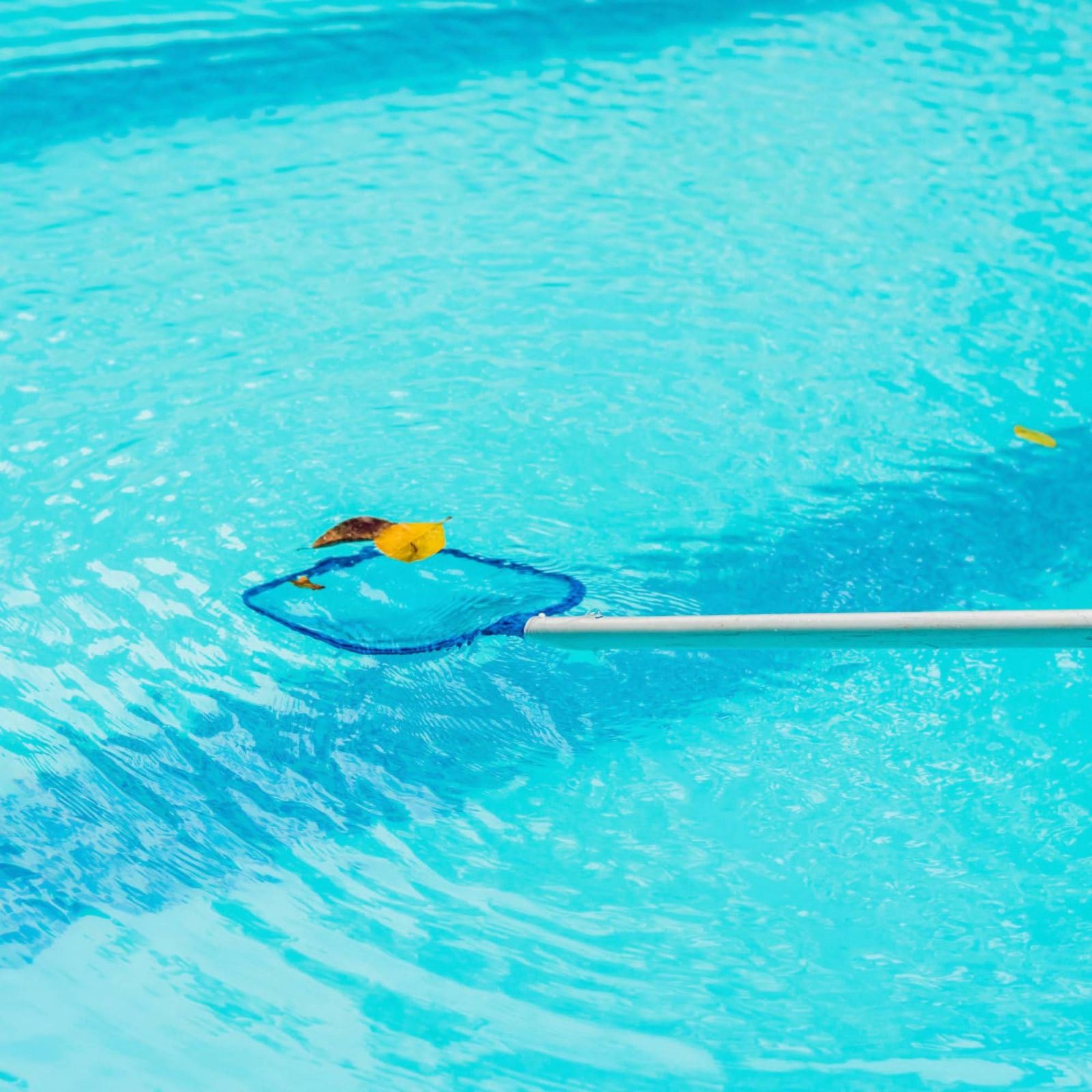 Rede de Folhas Removível para  - Pool Skimmer Net avaliação e preço