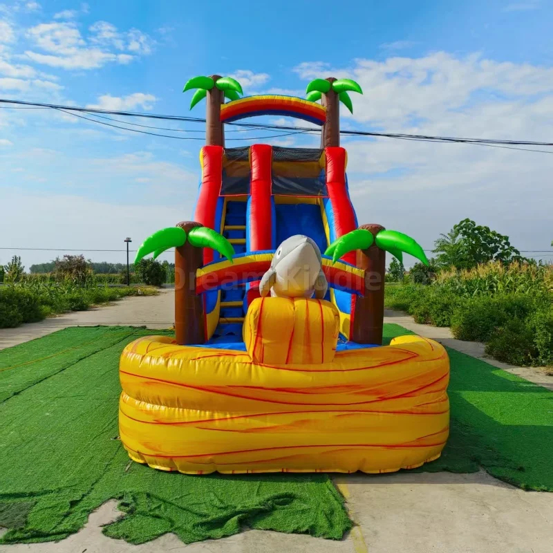 Escorregador de Água Inflável  - Water Slide Inflatable avaliação e preço